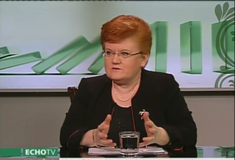 a middle aged woman is giving a television interview