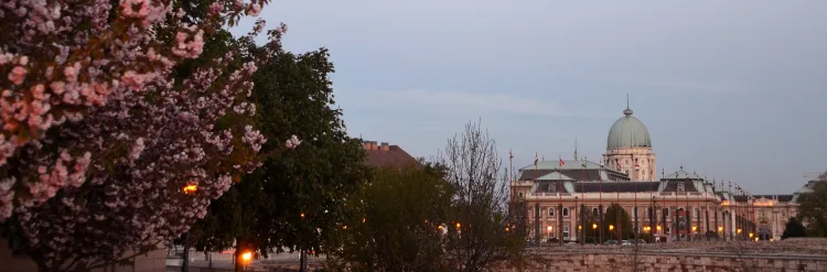 startup budapest fórum